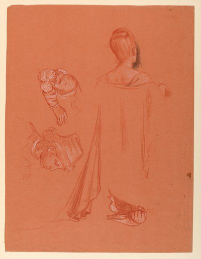 Figure and Drapery Studies by Elihu Vedder